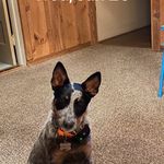 Tammy whitener - @whitener777 - Instagram