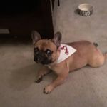 Tammy Gamlin Whitlock - @tammlock - Instagram