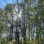 Tammy Whitlock - @funwhit1 - Instagram