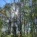 Tammy Whitlock - Facebook