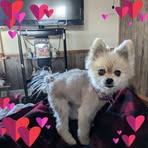 Tammy Wild - Facebook
