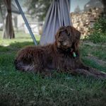 Tammy Willard Bird - @tststsa4749 - Instagram