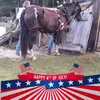 tammywilliford853 - @tammywilliford853 - TikTok