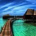 Tammy Wills - Facebook