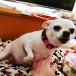 Tammy Wills - @tjawills75 - Instagram