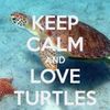 Tammy_Wills - @tammy_wills - TikTok