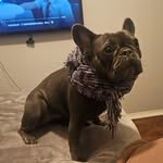 Tammy Winnie - @tammywinnie - Instagram