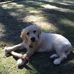 Tammy Winston Dibble - @tammywinstondibble - Instagram