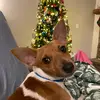 Tammy Wissing751 - @tammydani - TikTok
