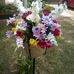 Tamara Wold - Facebook