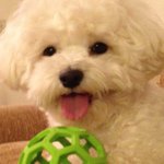 Tammy Wooster - @ilovetigger46 - Instagram