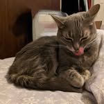 Tammy Wortman - @twortman72 - Instagram