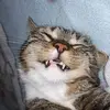 tammywunder - @tammywunder - TikTok