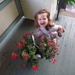 Tammy Arnold Wunderlich - @tammywunderlich - Instagram