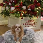 Tammy Wyatt - @hrlady2t - Instagram