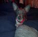 Tammy Wyatt - Facebook