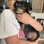 Tammy Wyatt Morris - @tammywyattmorris - Instagram