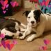 Tammy Wyman - Facebook