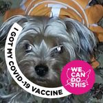 Tammy Gregory Yeager - @tlyeager - Instagram