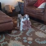 Tammy Yoder - @tammymathewsyoder - Instagram