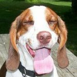 Tammy Yoder - @yodertammy - Instagram