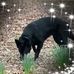 Tammy Yow - Facebook