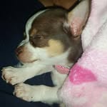 @tammyyow5 - Instagram