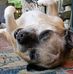 Tammy Zerbe Derfler - Facebook