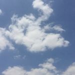 Tamr Abu Shaheen - @tamrabushaheen - Instagram