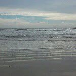 tamra collins - @tamra_collins - Instagram
