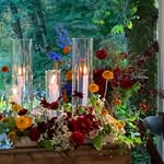 Tamara Hines Copeland - @tamcope3 - Instagram