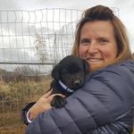 Tamara Cunningham - @horsetrainer_cunningham - Instagram