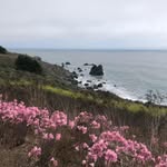 Tamra Green - @tgreen080500 - Instagram