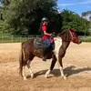 Tamara.Harris - @tamaraharrishbqulf - TikTok