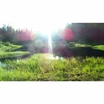 @tamra_hebert973 - Instagram