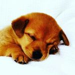 Tamara  Krämer - @tami14.10.2003 - Instagram
