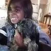 Tamara Michael  - @ashleywingo72 - TikTok