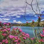 Tamara Morrow - @tamaramorrow62 - Instagram