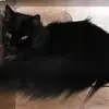 Tamra Kirkpatrick - @tamra.kirkpatrick - TikTok