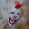 tamylee612 - @tamylee612 - TikTok