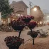 tamylopez905 - @tamylopez905 - TikTok