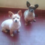 Tamy & Luna - @tamy_and_luna - Instagram