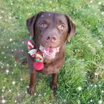 Tamzin Freeman - @tamzin1968 - Instagram