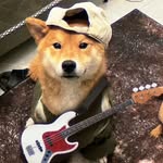 Tan Bach - @tanbach06 - Instagram