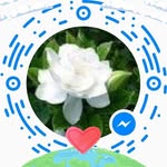 Tan Cung - @tan.cung.961 - Instagram