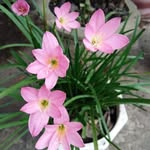 Tận Cùng - @cung.tan.353 - Instagram