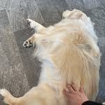 @tancung__ - Instagram