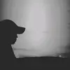 Tan Danh - @tan.danh51 - TikTok