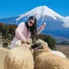 Tân Hùng - @tanhung986 - TikTok