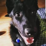 Tan Mac - @rnchgrl - Instagram